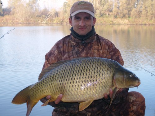 Italsky kapr