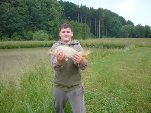 small karp
