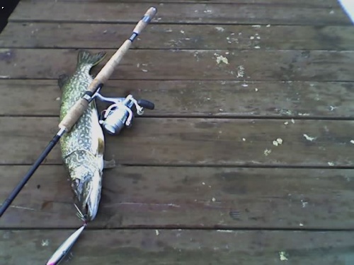 Rapala funguje :)