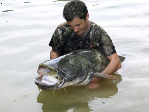 ebro po druh�