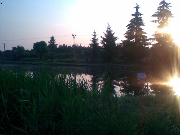 Z�vodn� rybn��ek