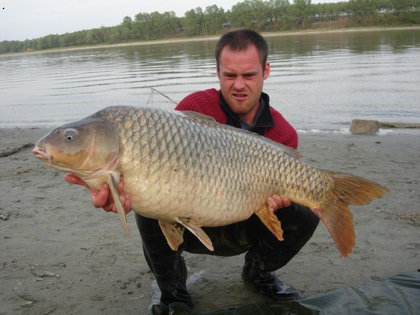 P�d  kv�ten 2007