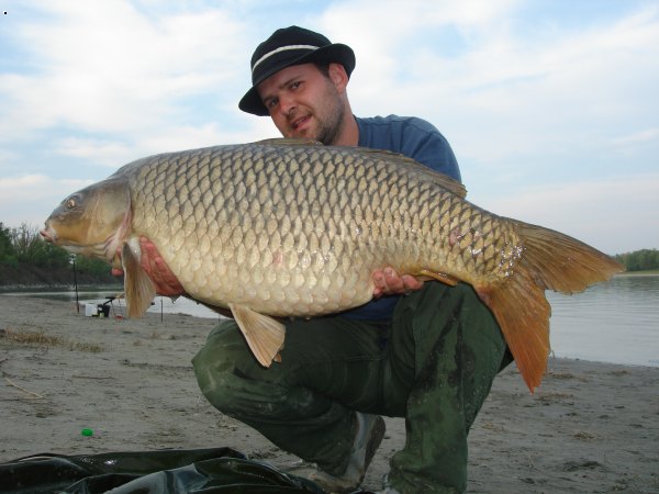 P�d  kv�ten 2007