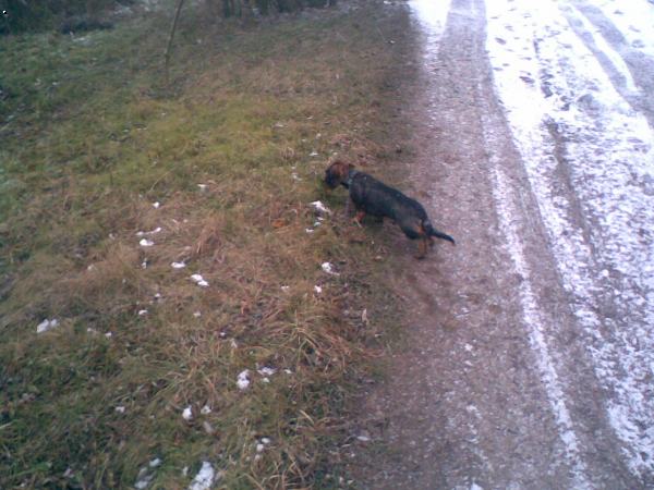 Alf�k