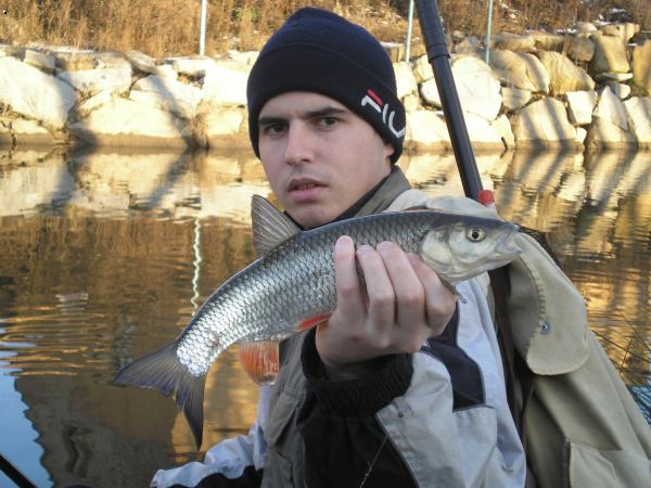Zimn� tlou�t�k