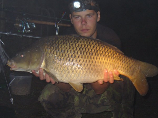 11kg