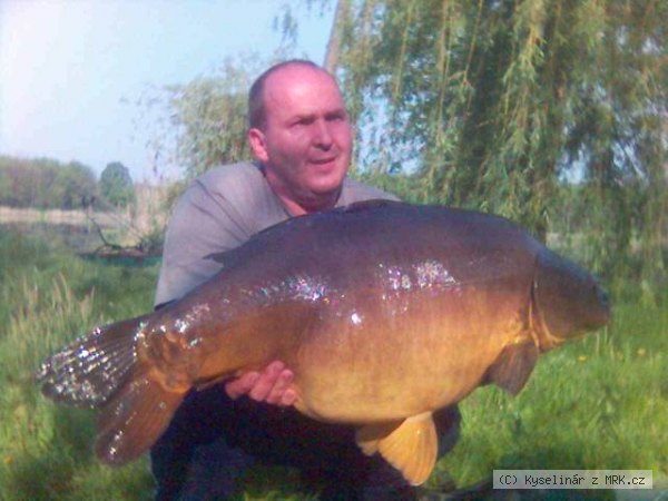 18,1 kg Haromfa