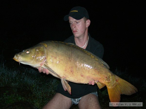 89cm/ 11,5kg
