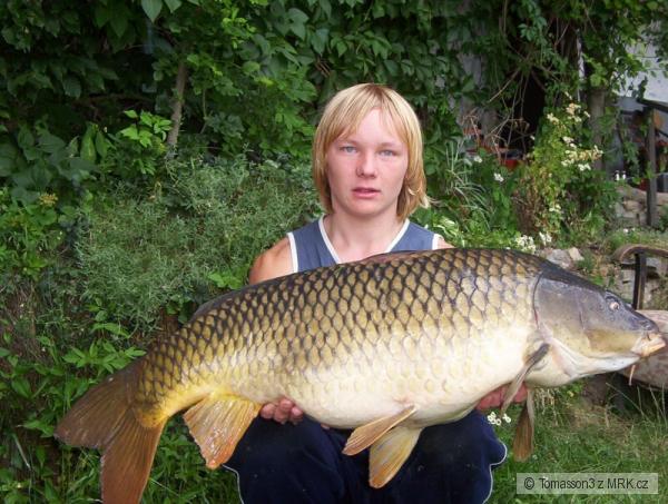 15kg
