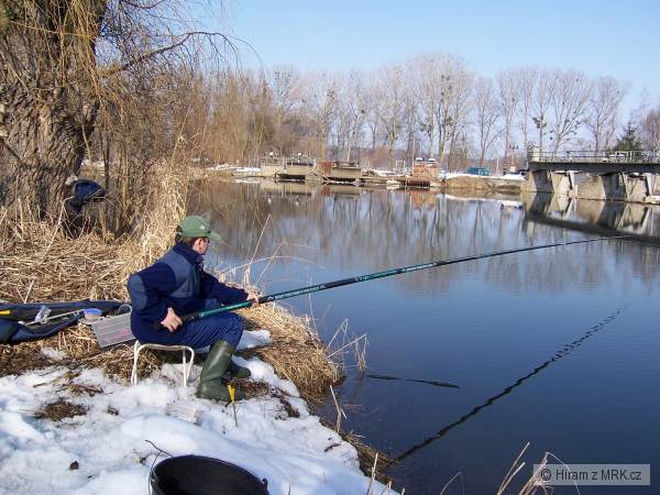 Leden 06, Morava Bolelouc