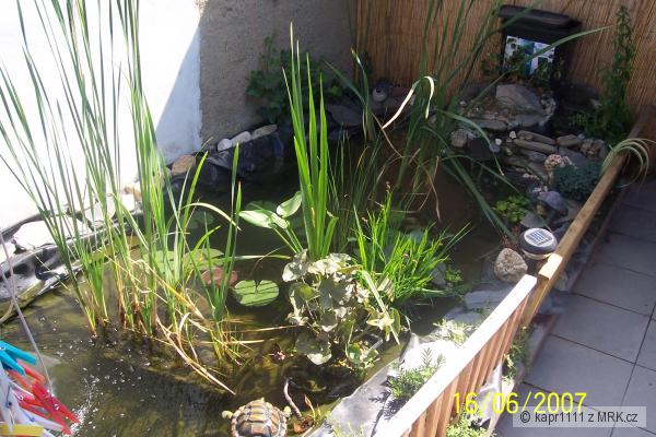 kdy� neberou tak aspon kuknu na n� doma tam by brali po��d 