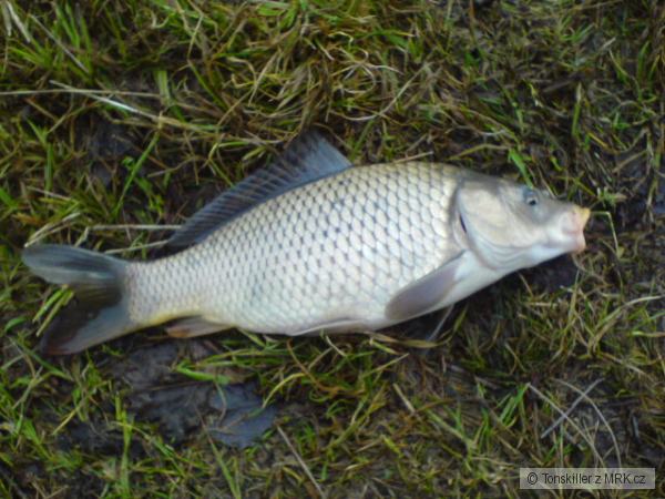 M�j prvn� letos