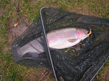 Duh�k 35cm
