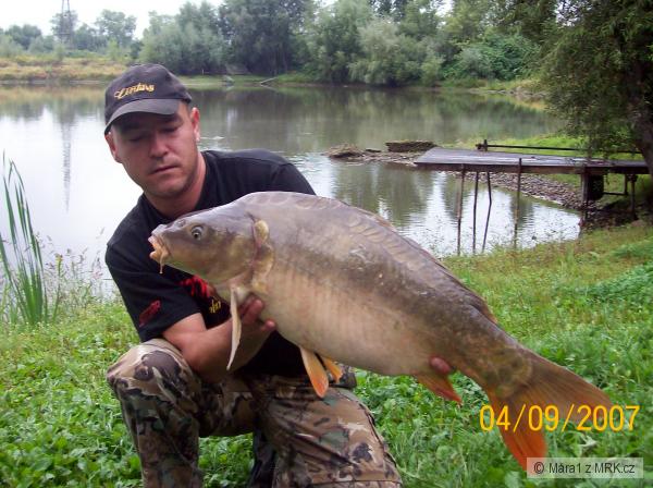 koblov-2007