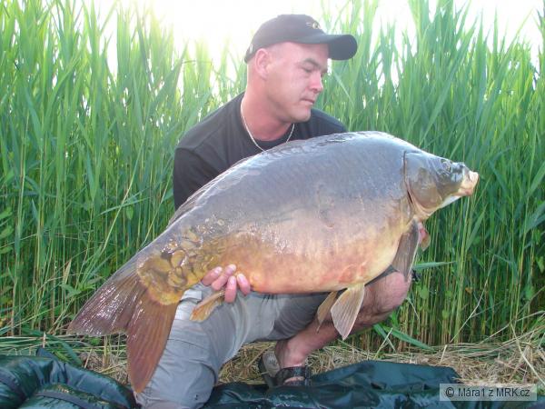 100cm.19kg.