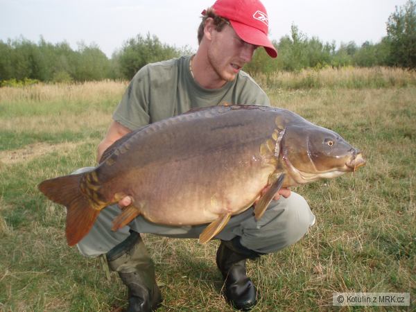 kapr 14.5 kg