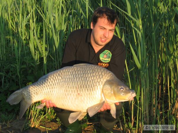 Merenye 19 kg 