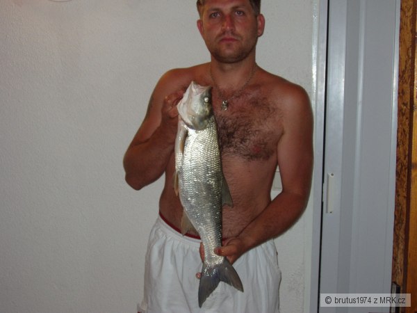 Bole� 63 cm/ 3,3 kg,leto/2006
