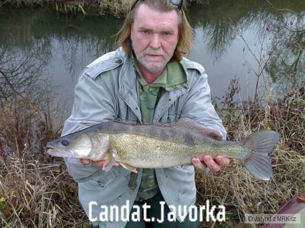 Cand�t
