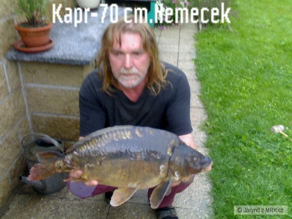 Kapr