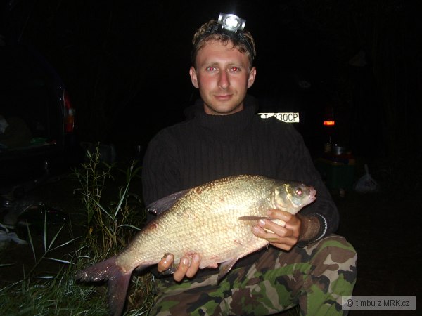 Pleskac 55cm z L.M.