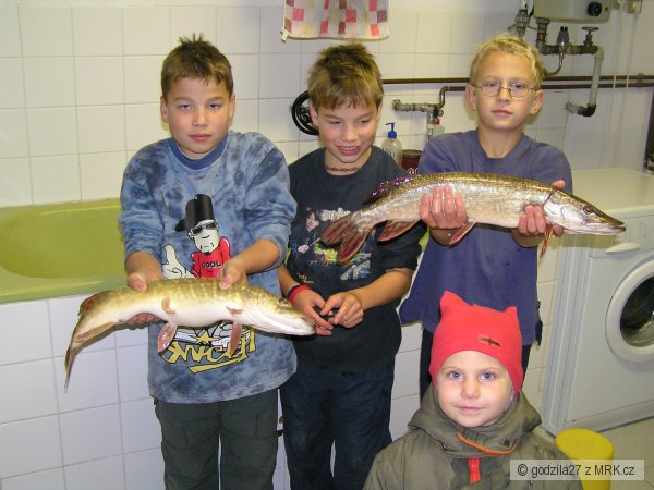 dv� �tiky v jeden den (j� a bratranec)