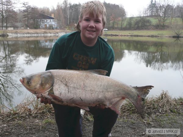 J� a muj nej Tolstolobik 80 cm