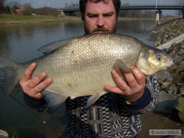 cejn velky 65 cm