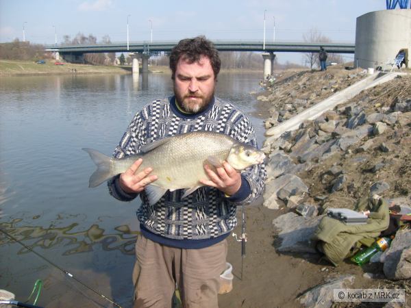 cejn velky 65 cm