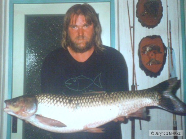 Desetikilov� amur a �pal