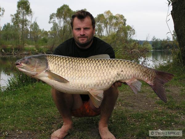 AMUR 104 cm