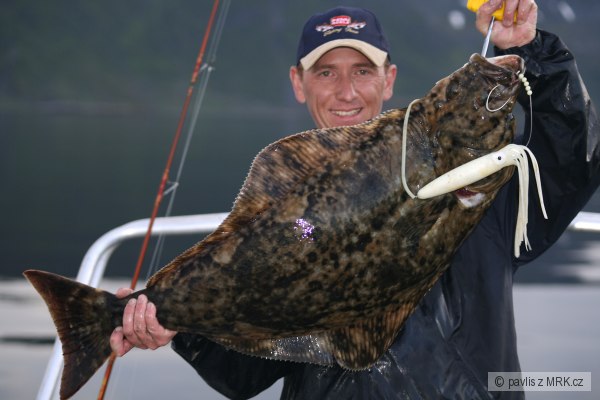 Halibut 