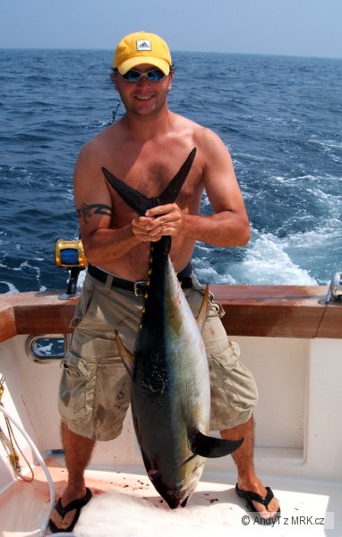 Yellow fin Tuna