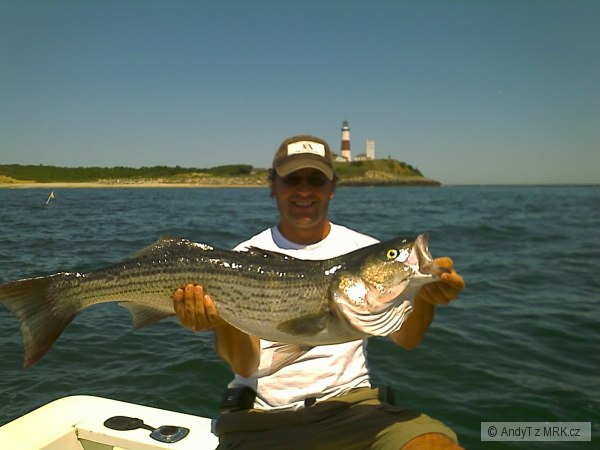 Stripper bass na Montauk, Long Island