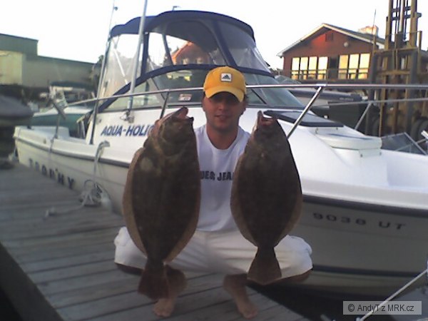Fluke
