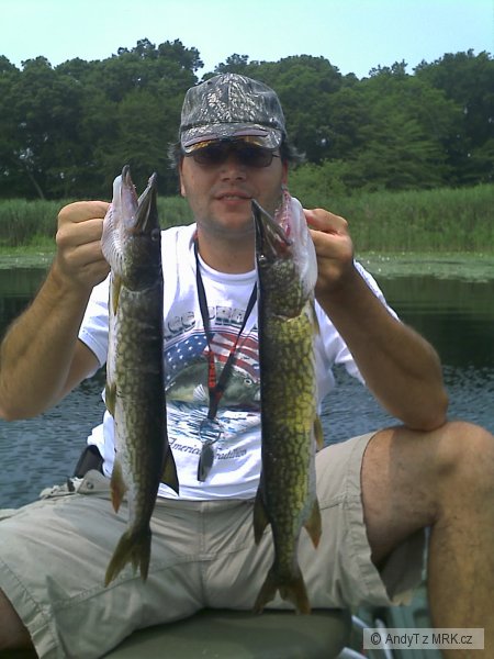 stucky, Laurel Lake, NY