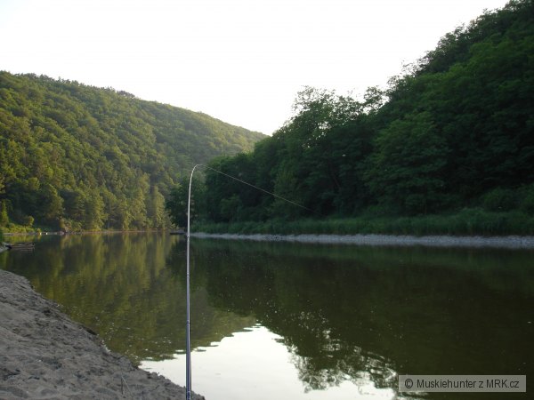 Feeder fishing