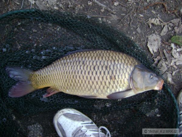 Kap���ek 51cm
