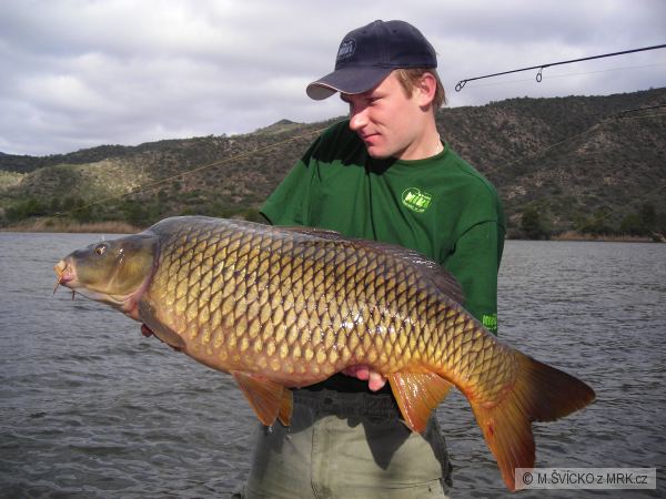 ebro 2008