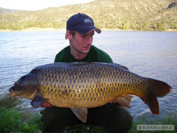 ebro 2008