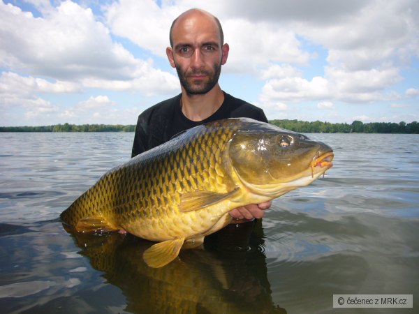 13 kg