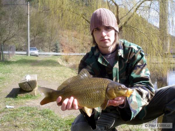carp(42) Breitfeldka