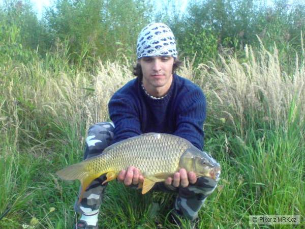 carp(46) Bend