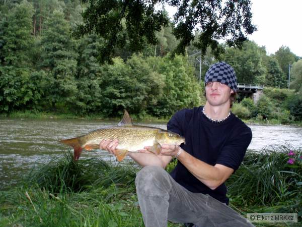 barbel(58) Oh�e