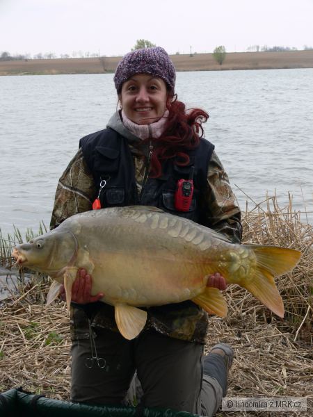 87 cm 14 kg