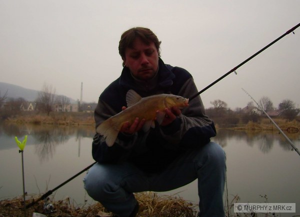 lien na feeder