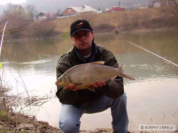 marcov� pleskac na feeder