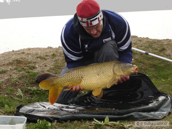 82cm 8.5kg