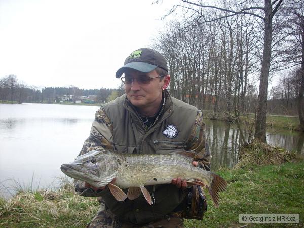 Bobrman a jeho 84 cm ryba