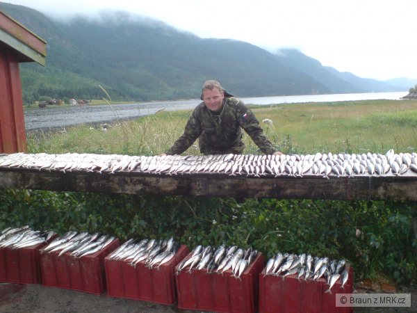 NORSKO 2007,